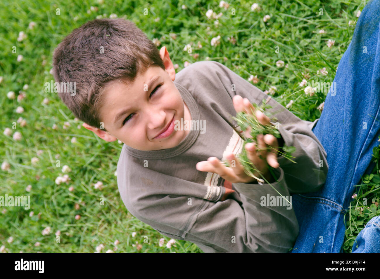 Young boy picking handfuls of grass, France. Stock Photo