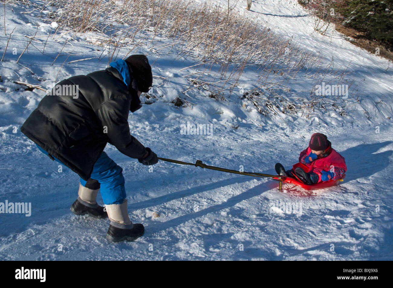 A boy pulling a little girl along on a sled on a snowy path. Stock Photo