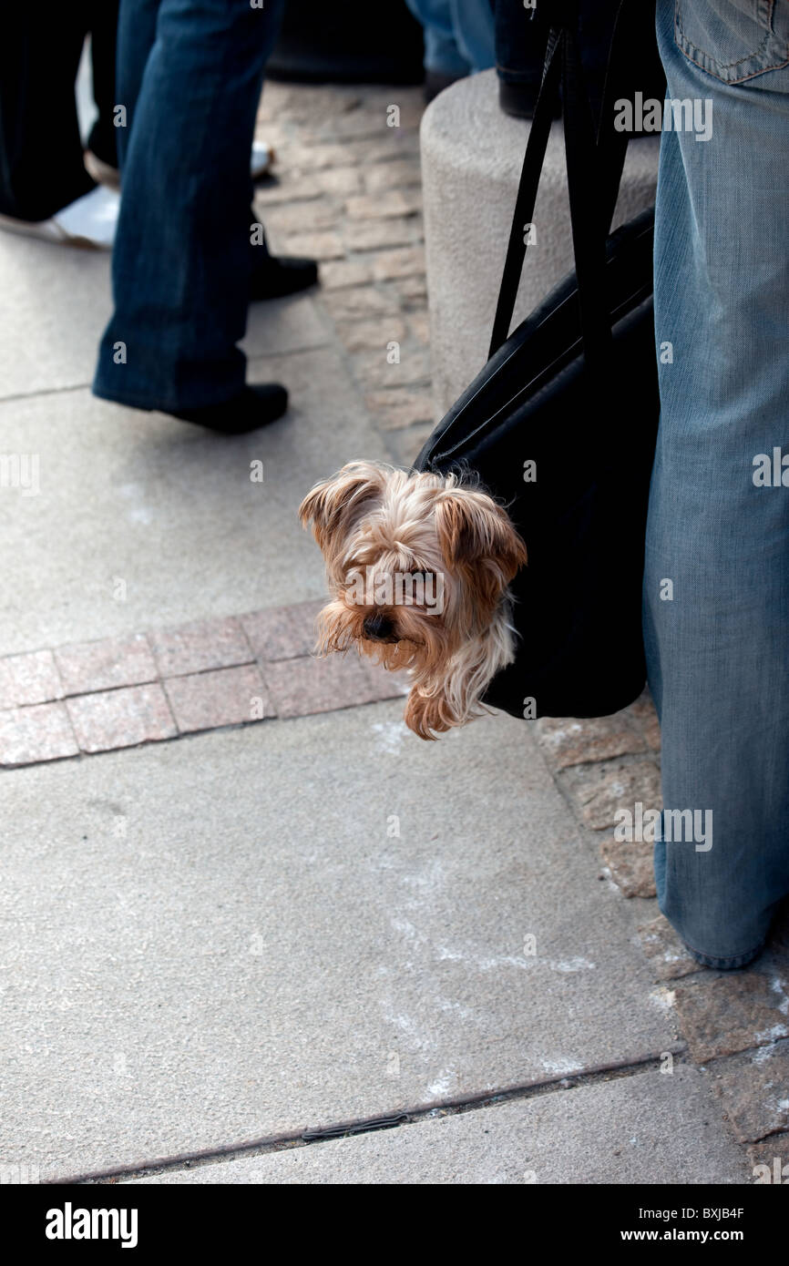 Stick bag hires stock photography and images Alamy