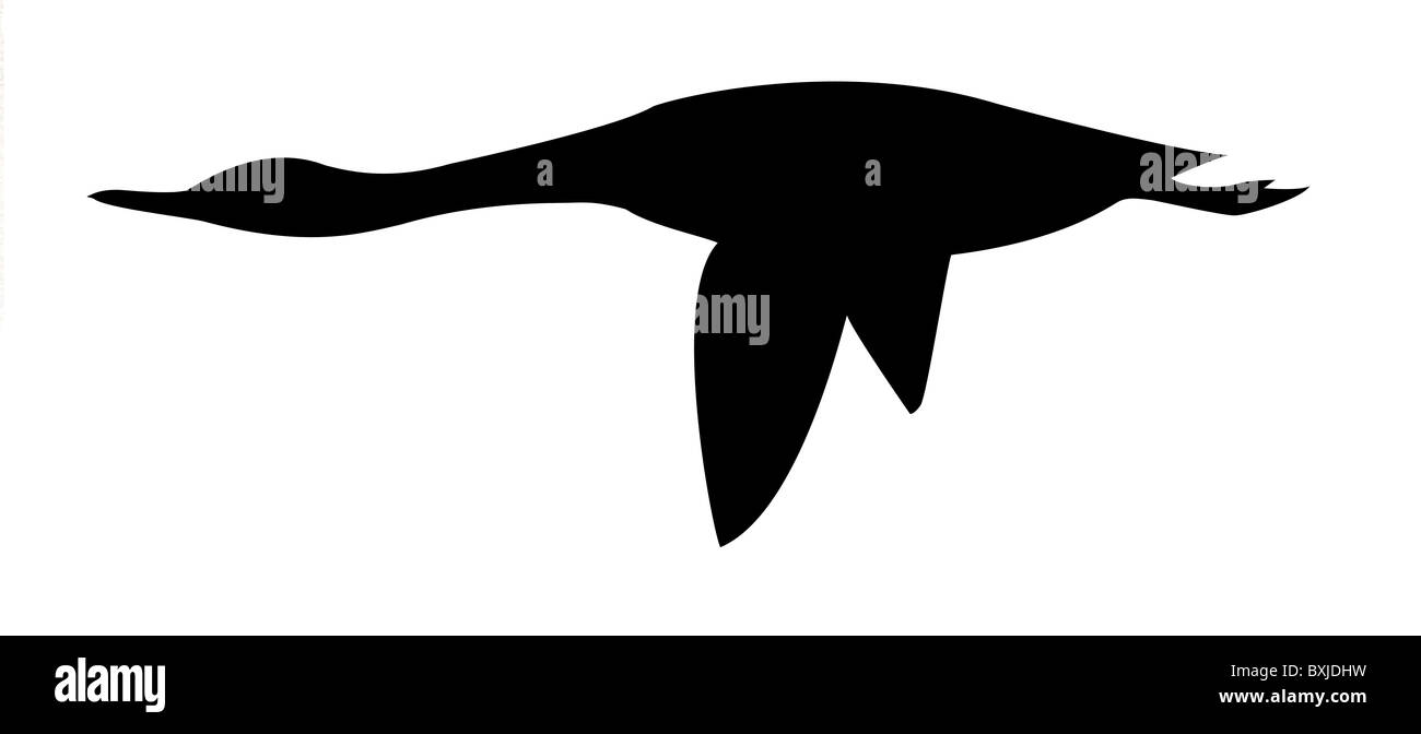 vector silhouette goose on white background Stock Photo