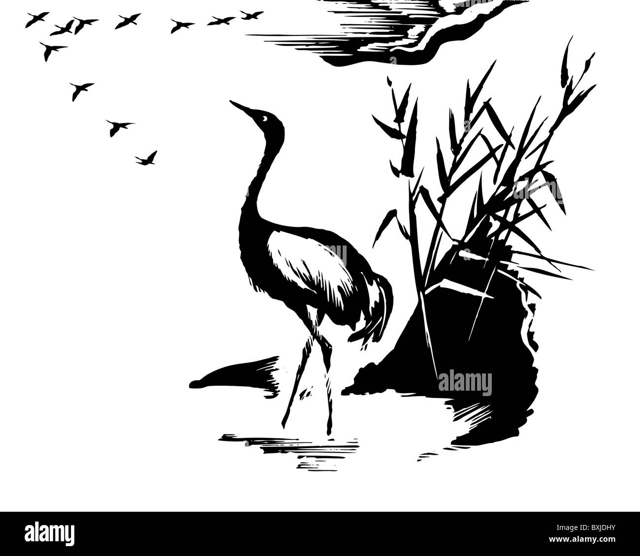 vector illustration of the crane on white background Stock Photo - Alamy
