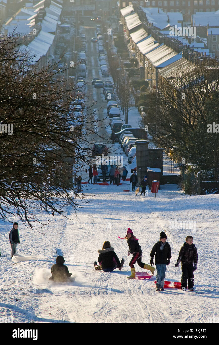 Sledging on the edge of town, Peel Park, Accrington, Lancashire
