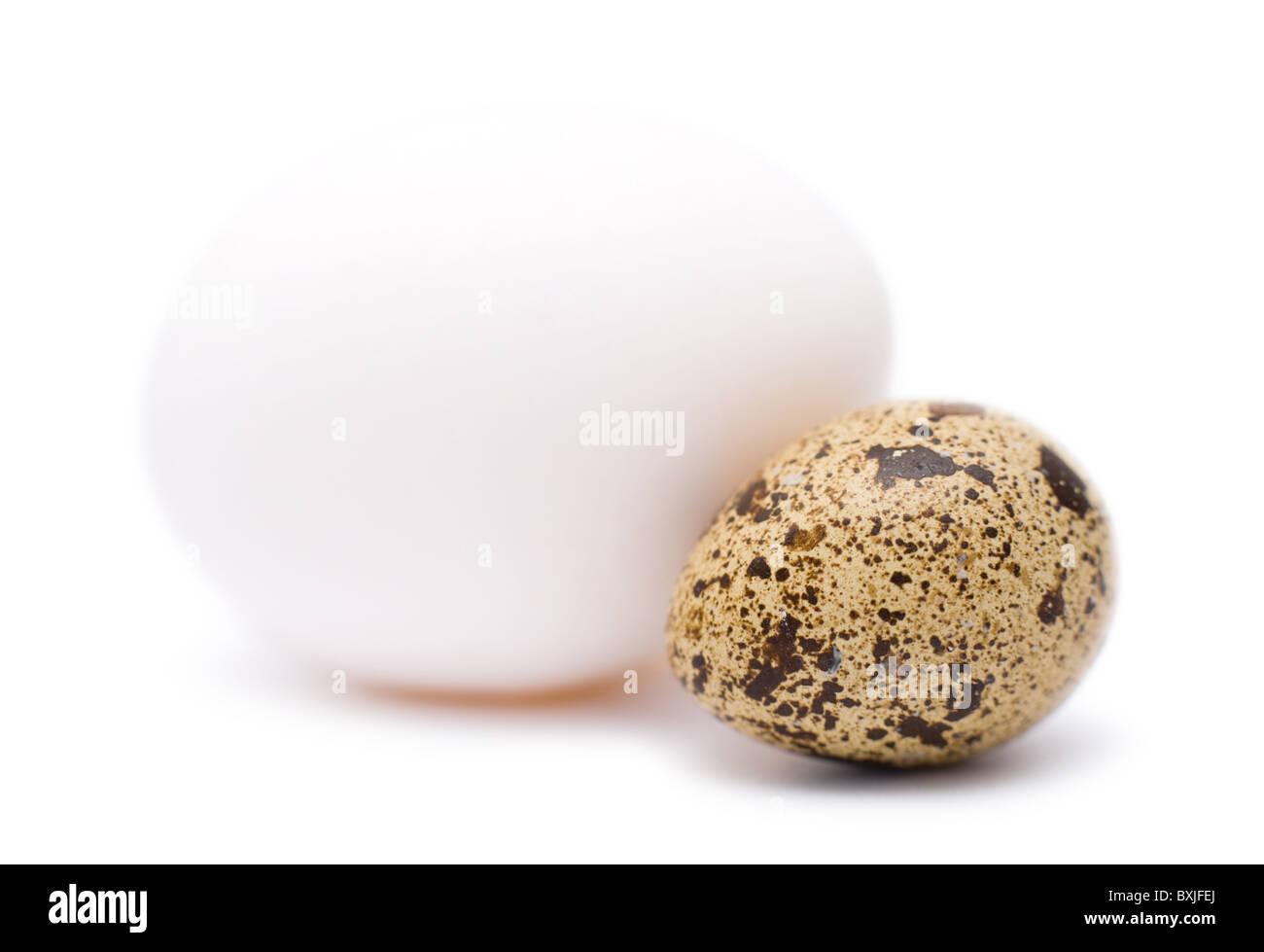 a hens egg and a quails one, super macro Stock Photo