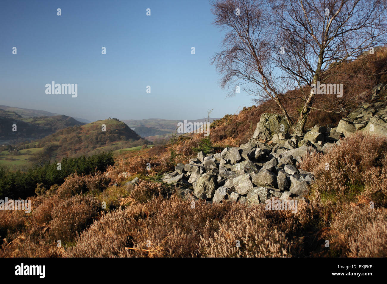 Winter morning on the Panorama with views of Dinas Bran Castle ...