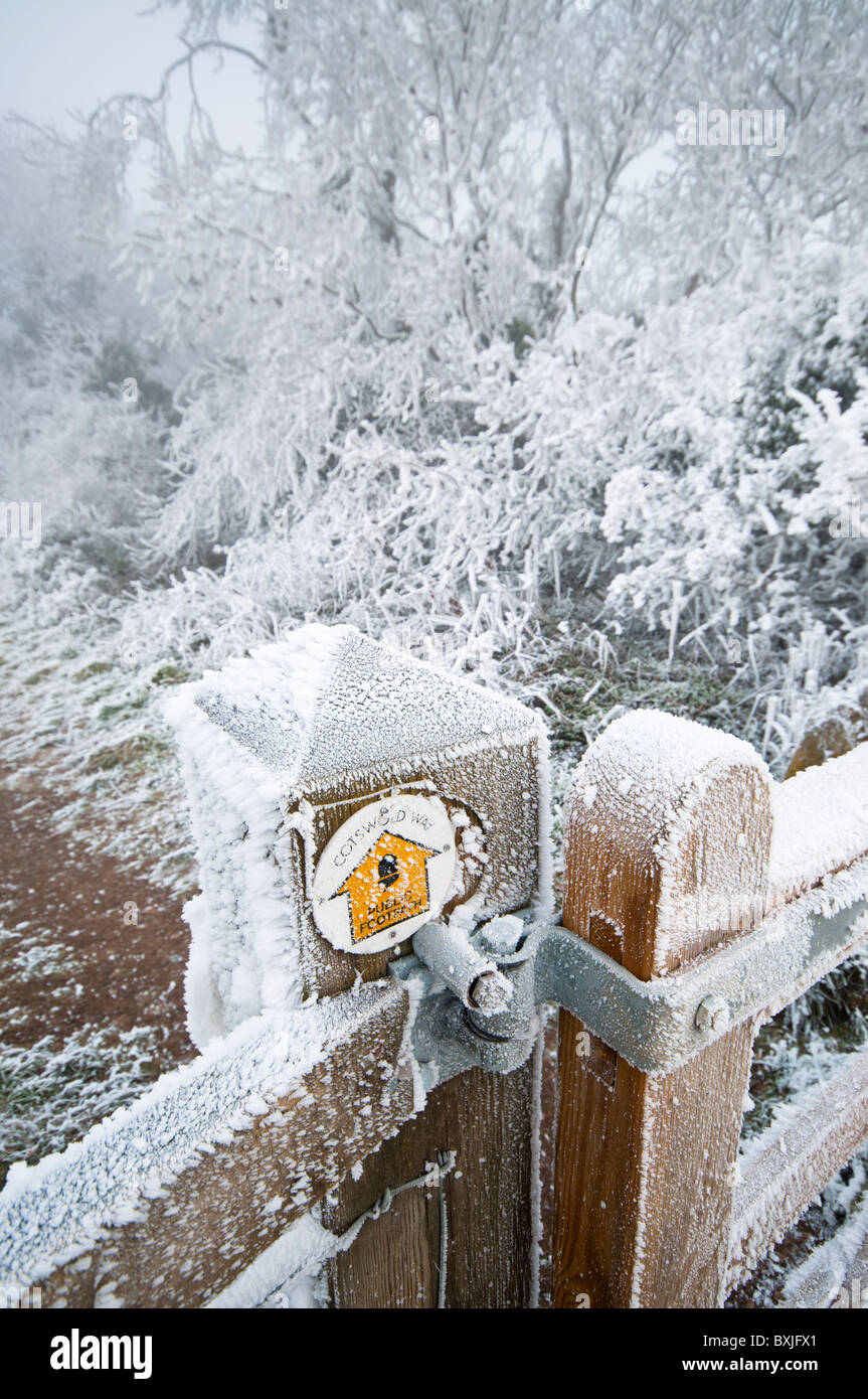 Frost covered kissing gate with Cotswold Way sign, Haresfield Beacon ...