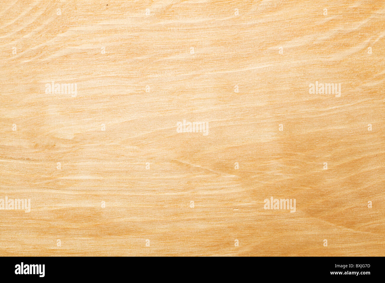 Hornbeam - Carpinus betulus wood texture Stock Photo