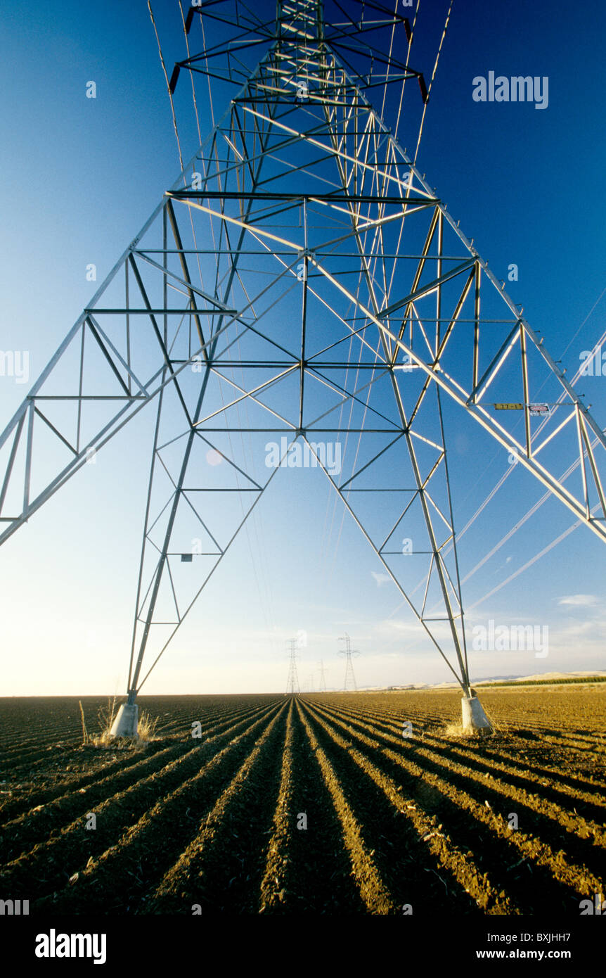 Electric Transmission towers, Stock Photo