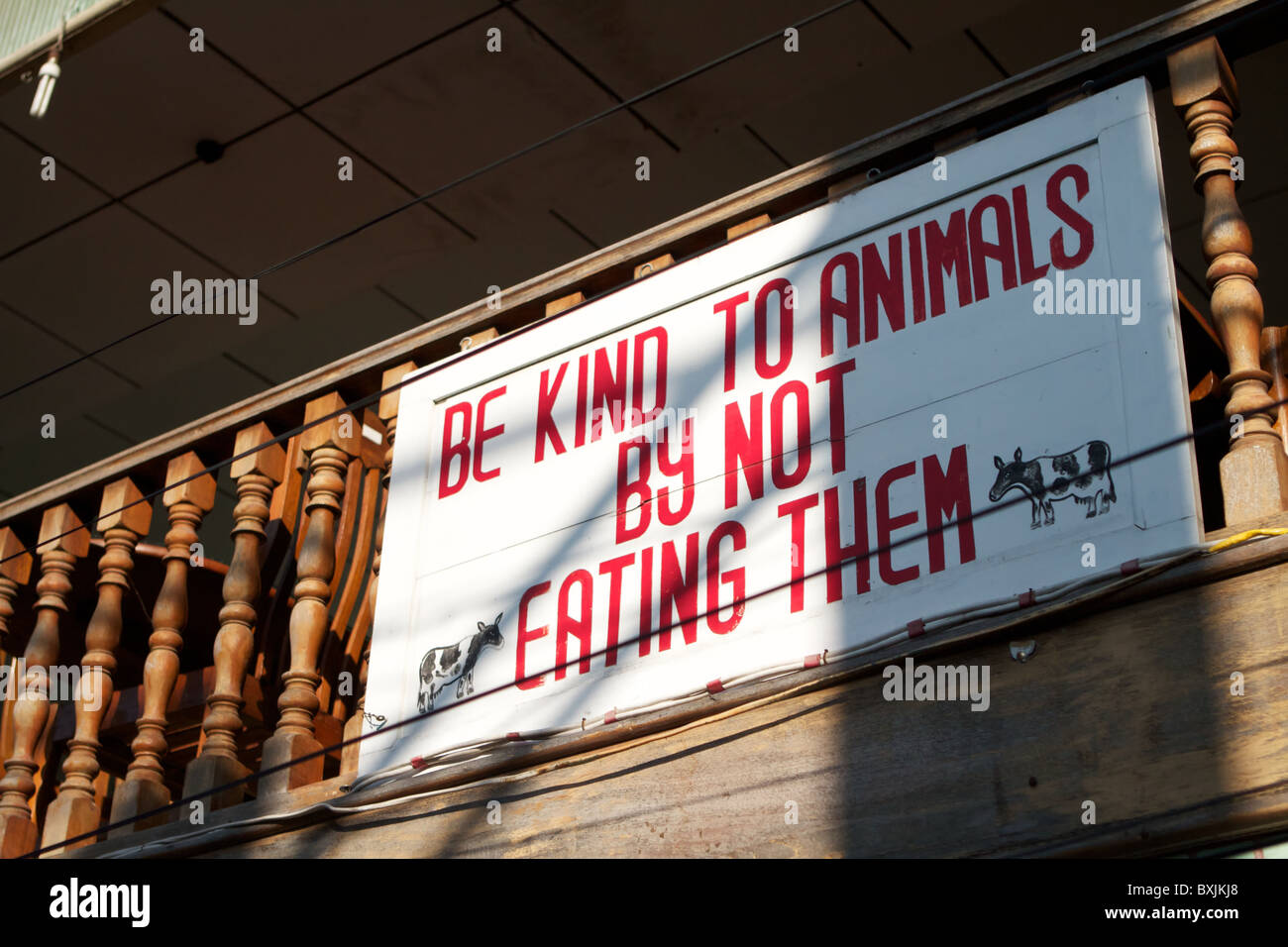 Be kind to animals hi-res stock photography and images - Alamy