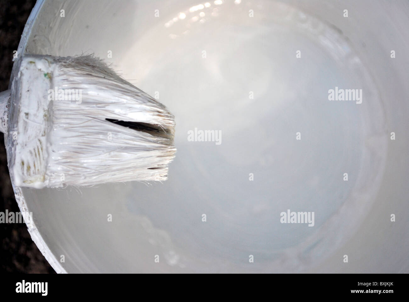 brush and white paint large internal walls Stock Photo Alamy
