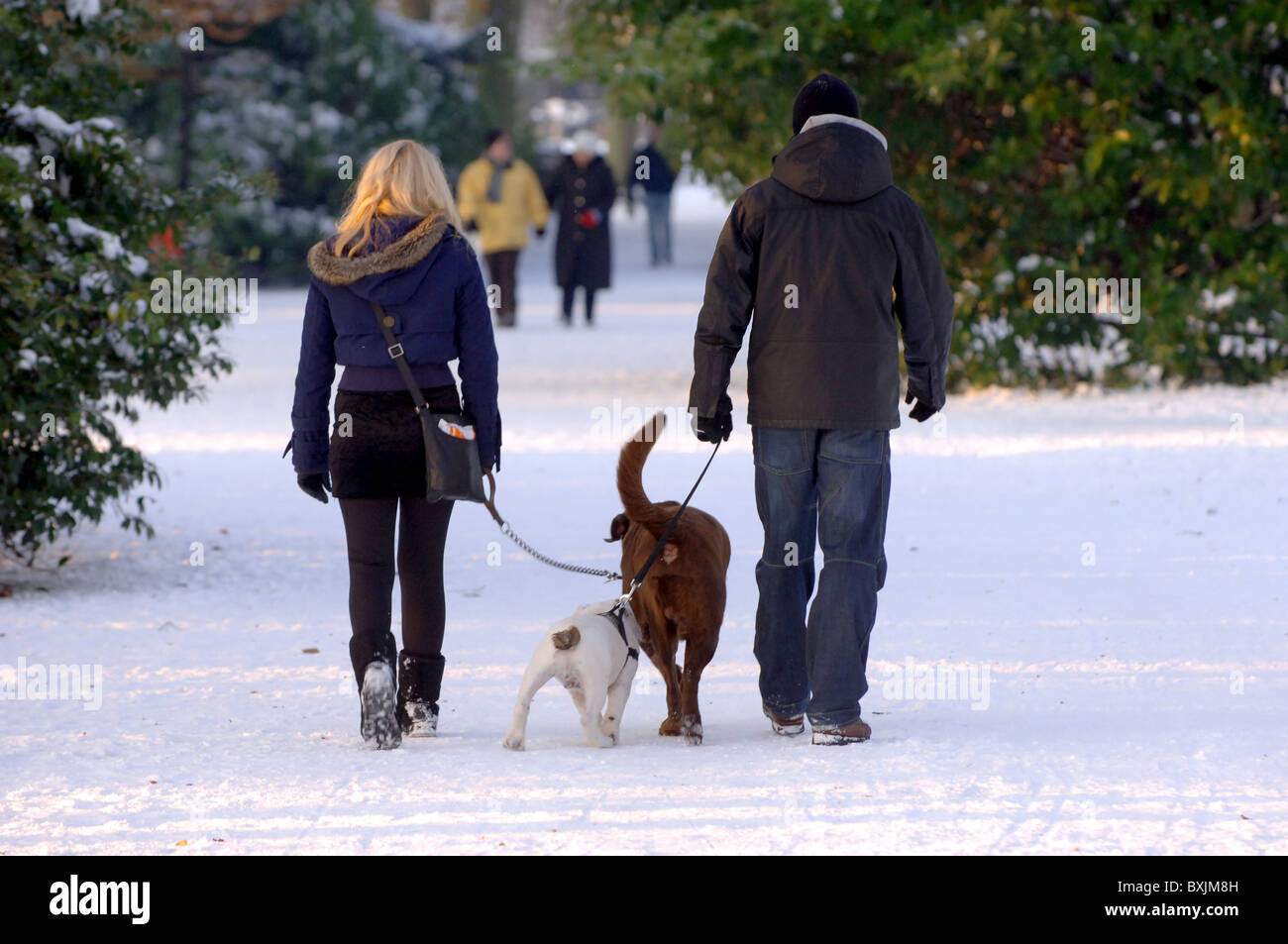 Two people walking dogs in a snow covered park Stock Photo - Alamy