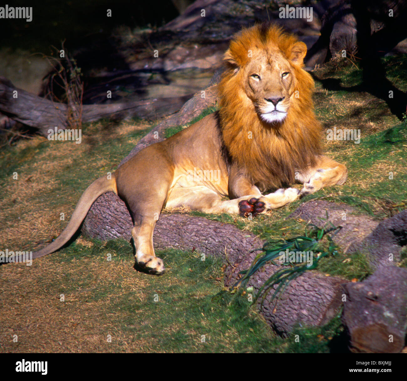Orelans hi-res stock photography and images - Alamy