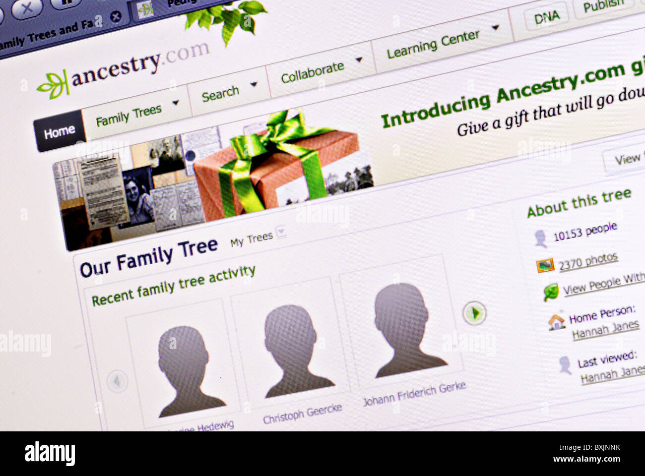 Family tree and genealogy information on Ancestry.com Stock Photo