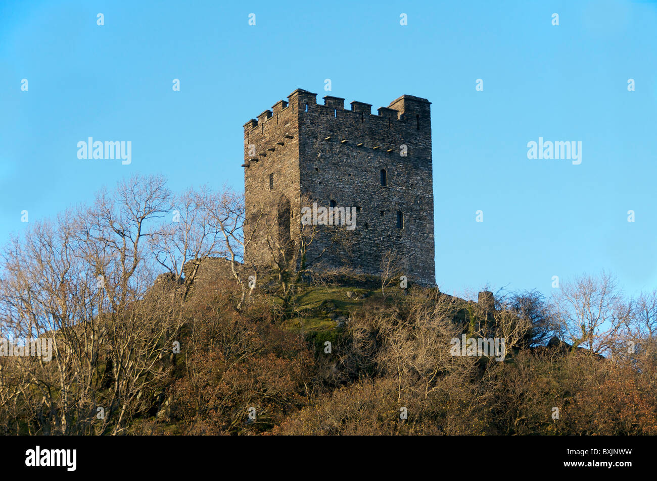 Castell Dolwyddelan Gwynedd, North Wales UK Stock Photo