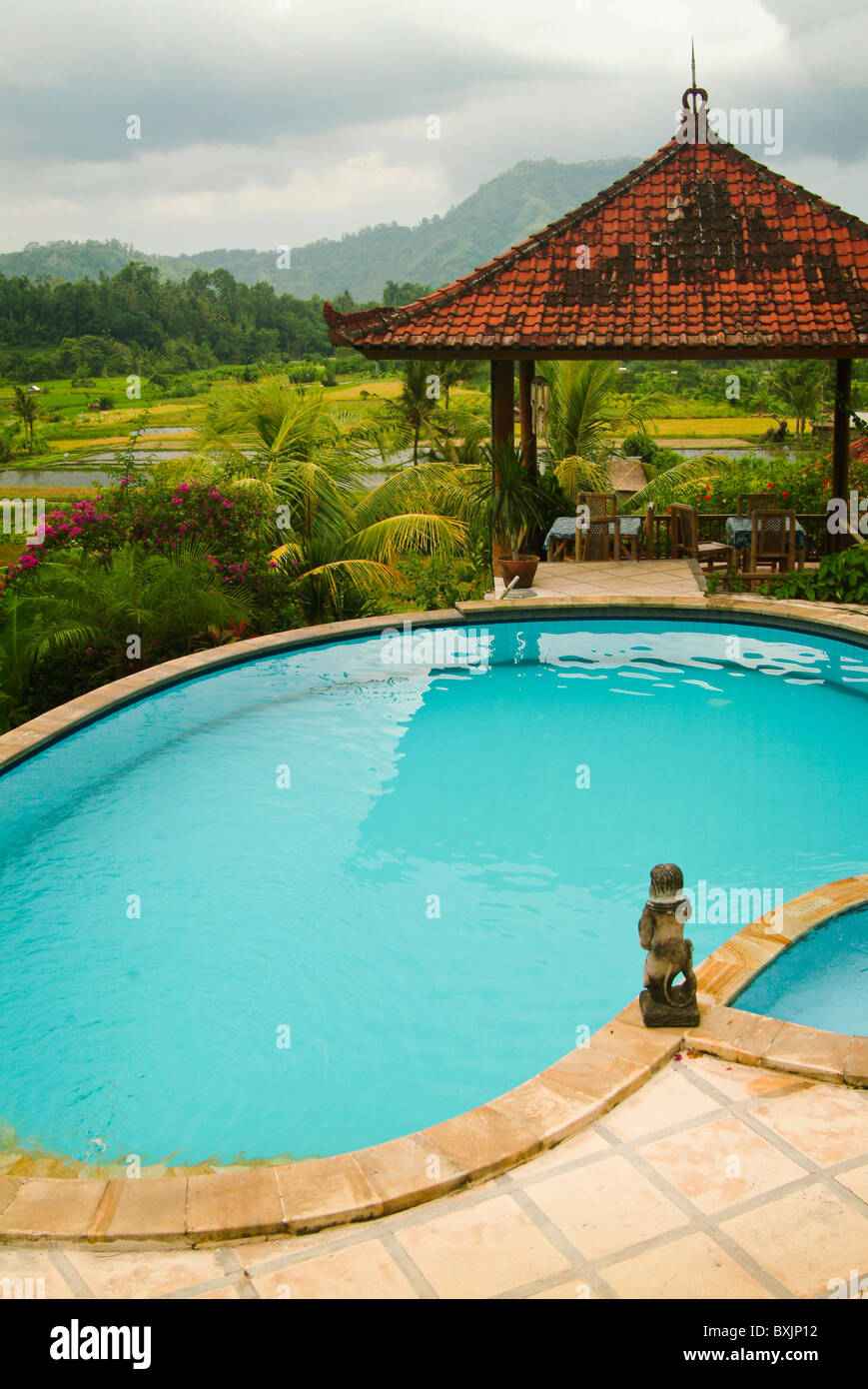 The Swimming Pool At Villa Cepik In The Beautiful Sideman - 