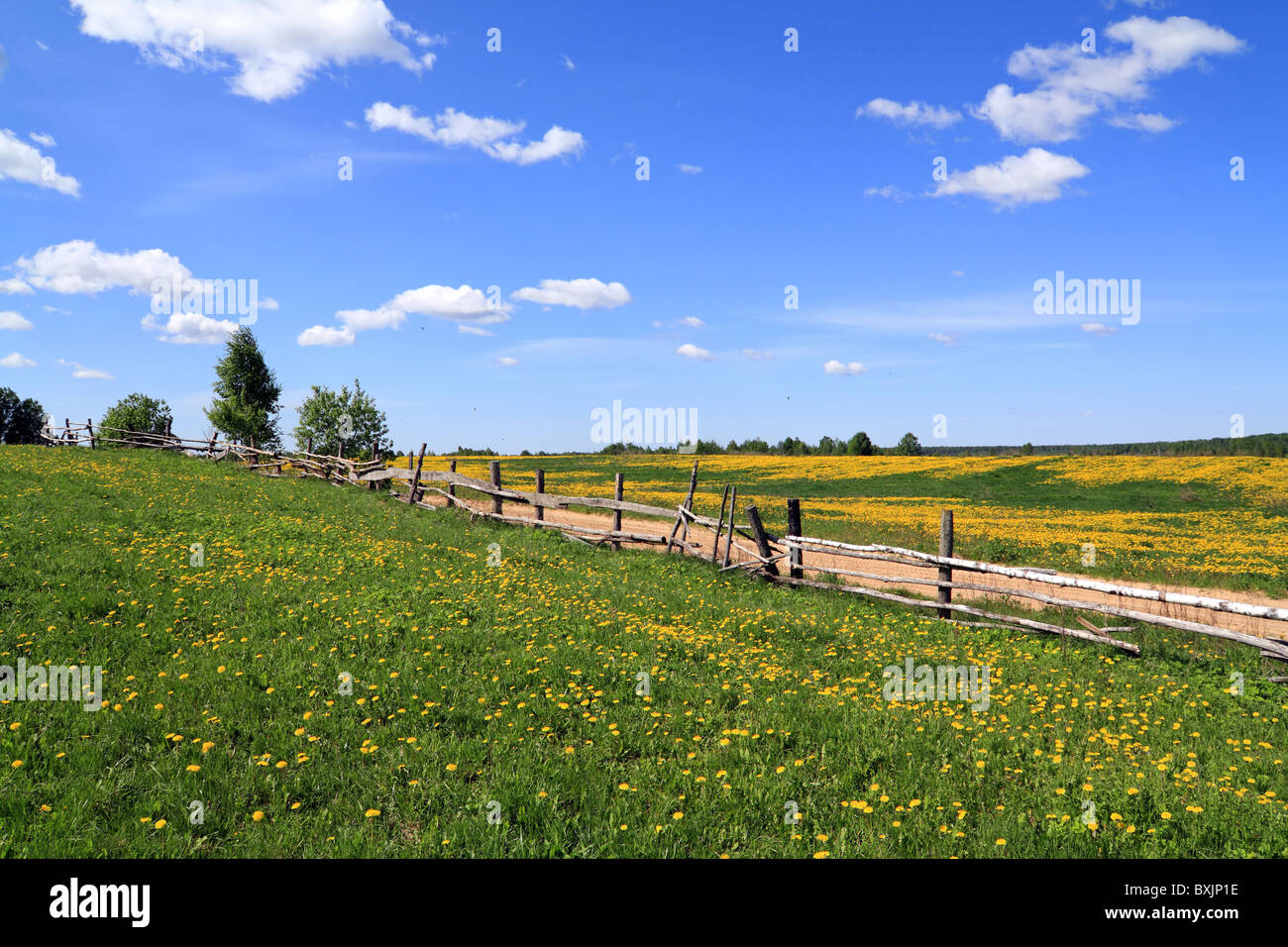 old fence on field Stock Photo - Alamy