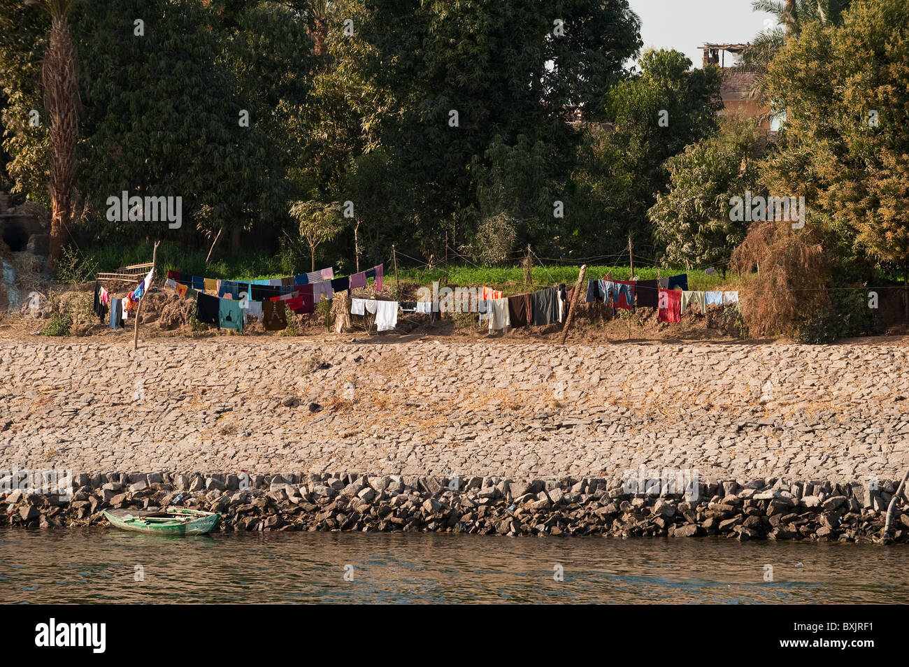 Egypt Date Palms Along The Nile Stock Photo Alamy egypt-date-palms-along-the-nile-stock-photo-alamy