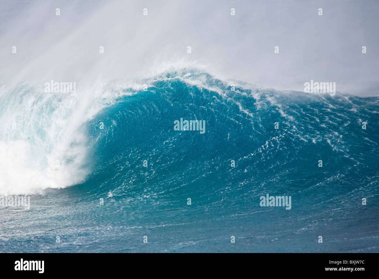 Huge breaking wave with a nice tube. Stock Photo
