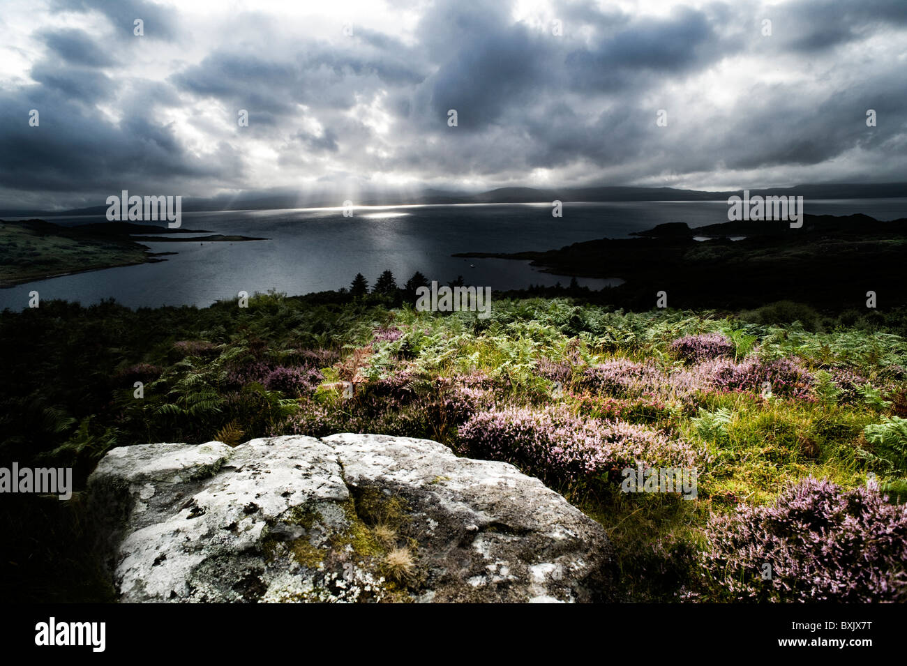 Looking from a rock and heather strewn hilltop over the water to the rain falling from sun-silvered clouds on a distant island. Stock Photo