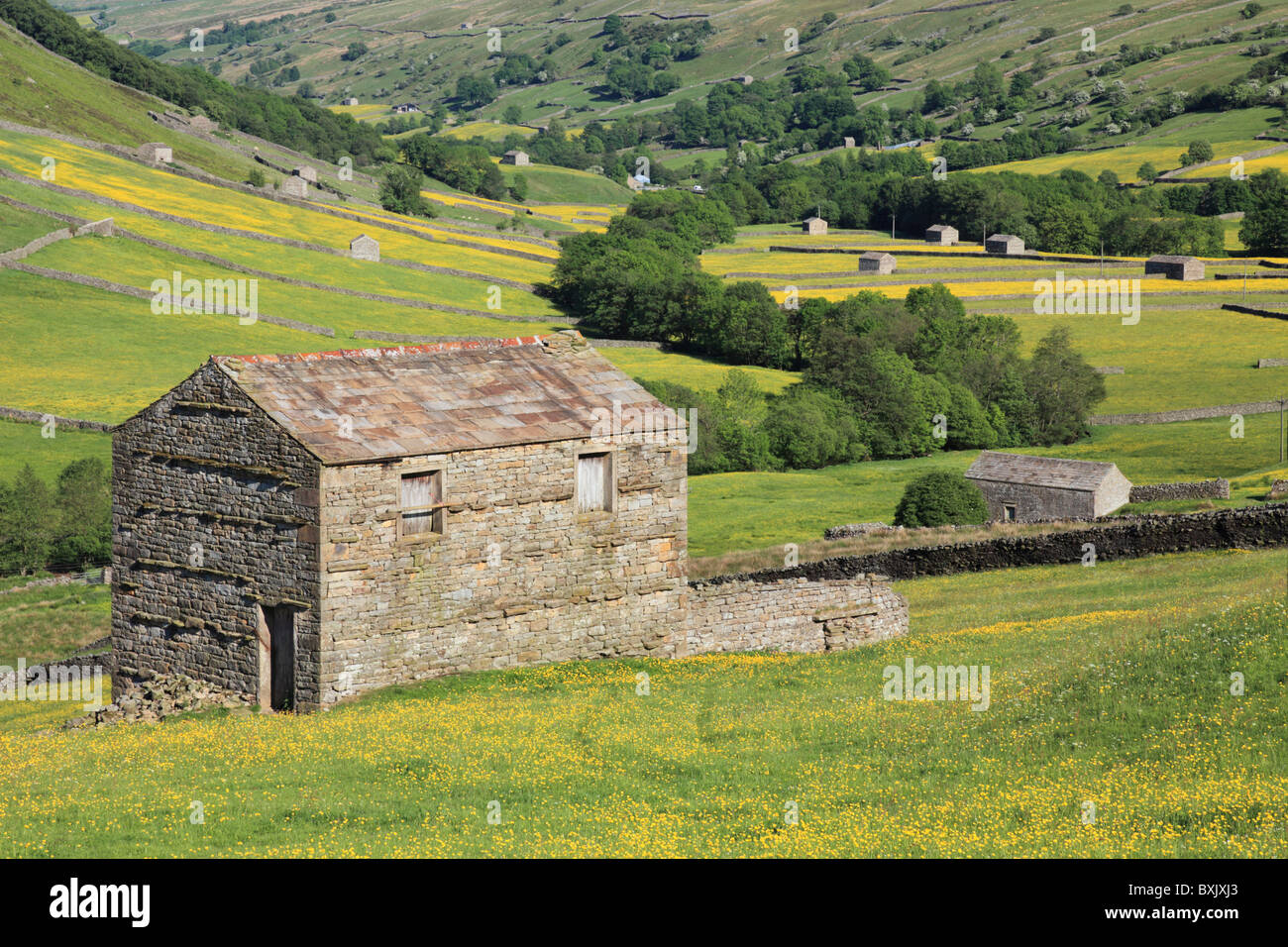 Swaledale in the Yorkshire Dales National Park Stock Photo