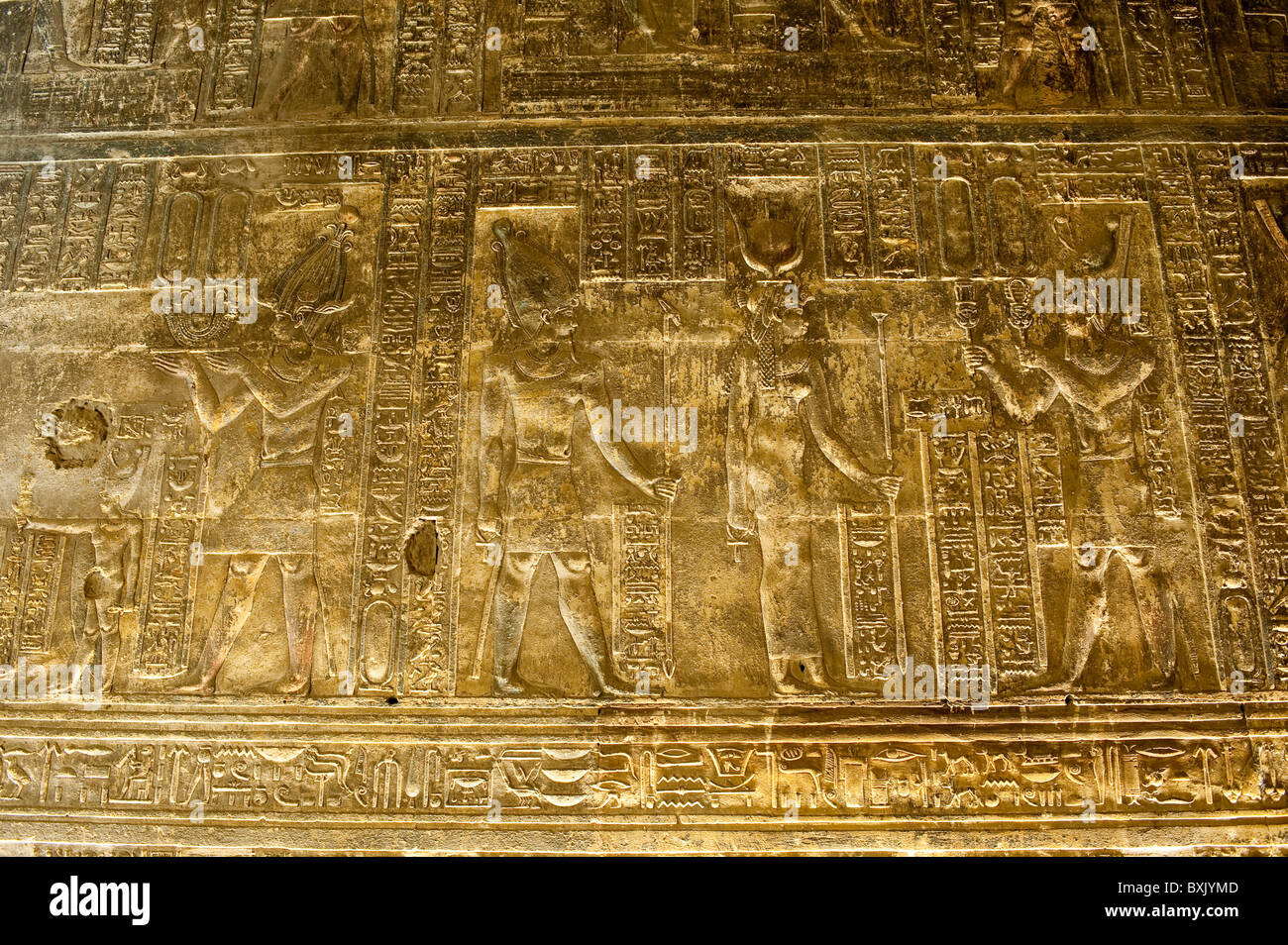 JACQUARD  SCARF TEMPLES OF DENDARA main image 0