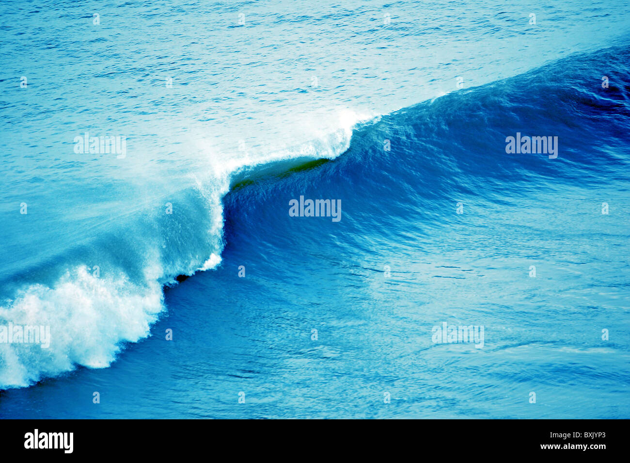 Resources of the oceans: their types and significance 21 Resources of the oceans: their types and significance 51