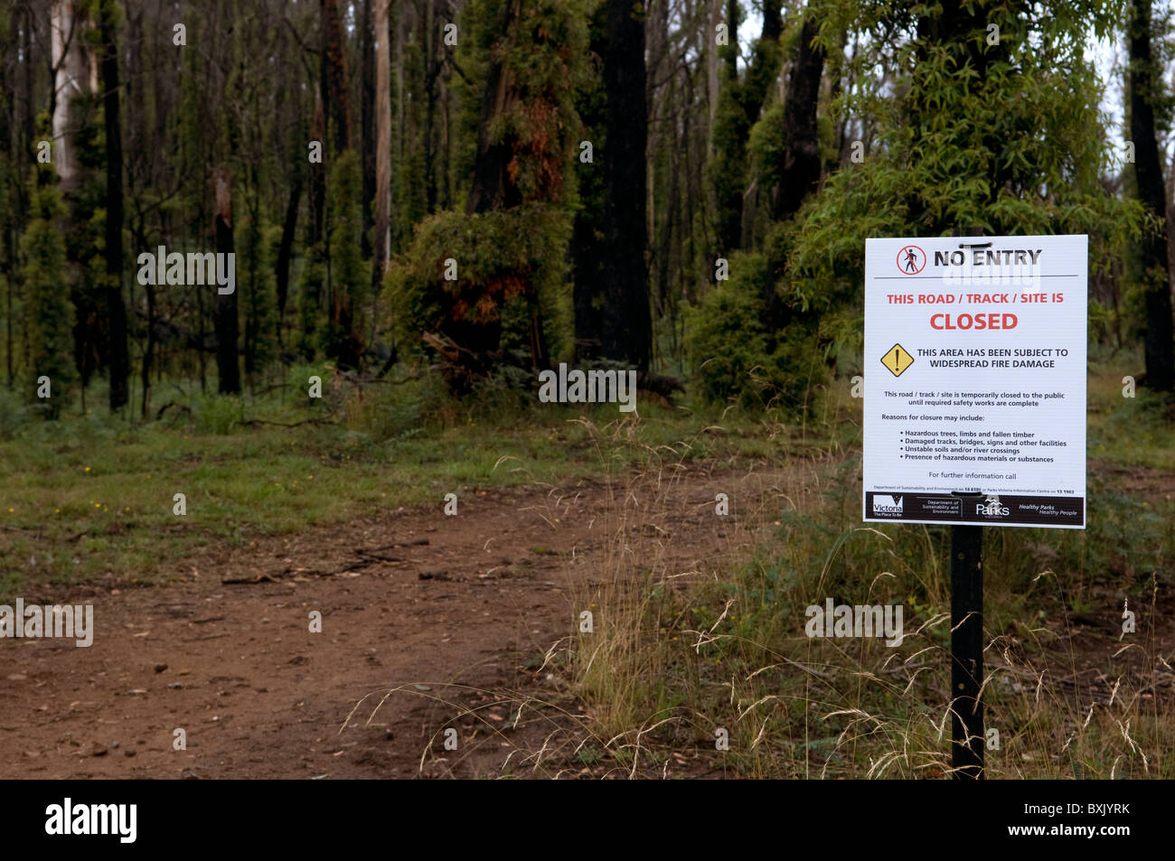 No Entry sign closing off walking track and fire damaged trees and bush showing regrowth a year after a bushfire Stock Photo