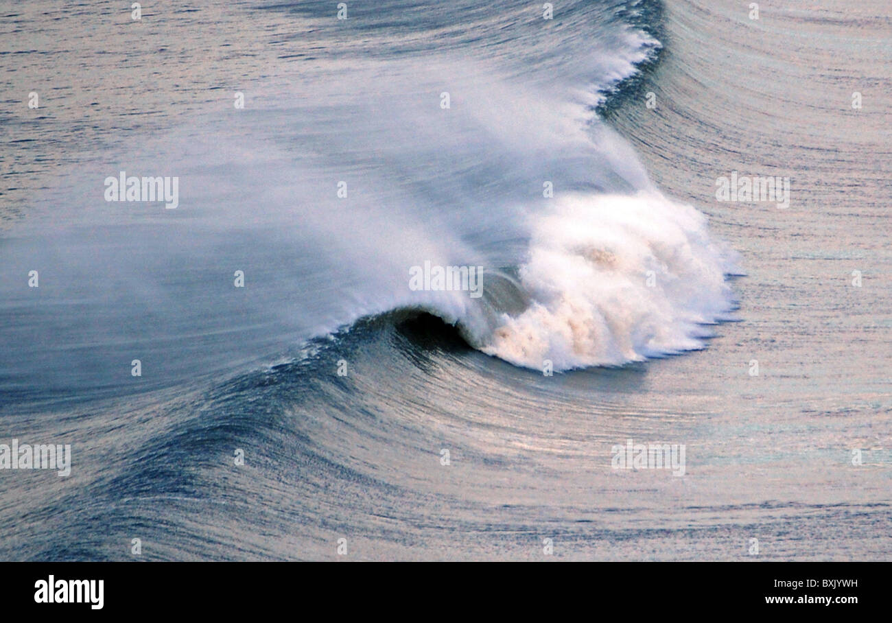 There are many types of ocean waves. Waves differ from each other in