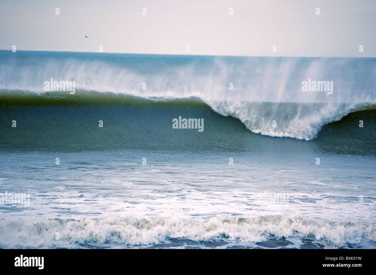 There are many types of ocean waves. Waves differ from each other in