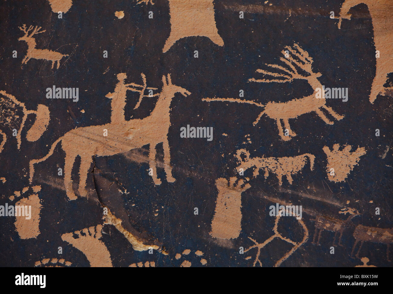 Closeup of petroglyphs at Newspaper Rock State Historic Monument, Southeast Utah, USA. Stock Photo