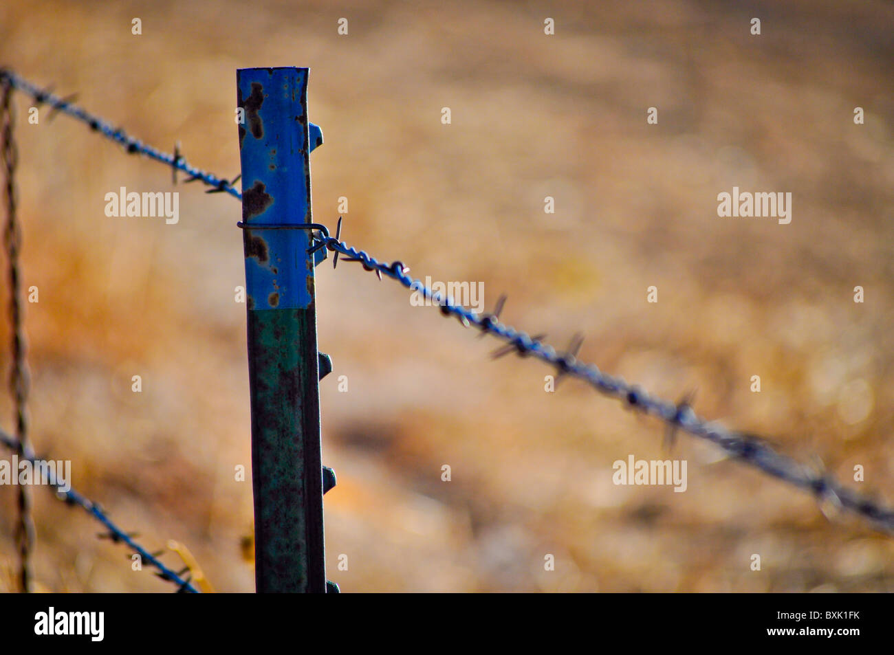 barbed wire fence post Stock Photo