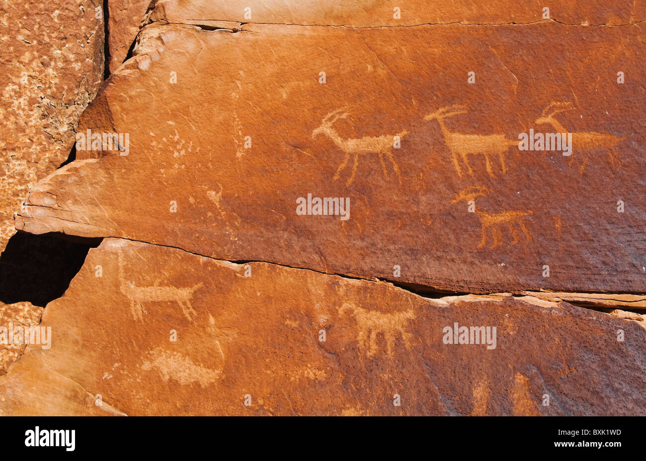 Petroglyphs in Indian Creek Canyon, Utah, USA. Stock Photo