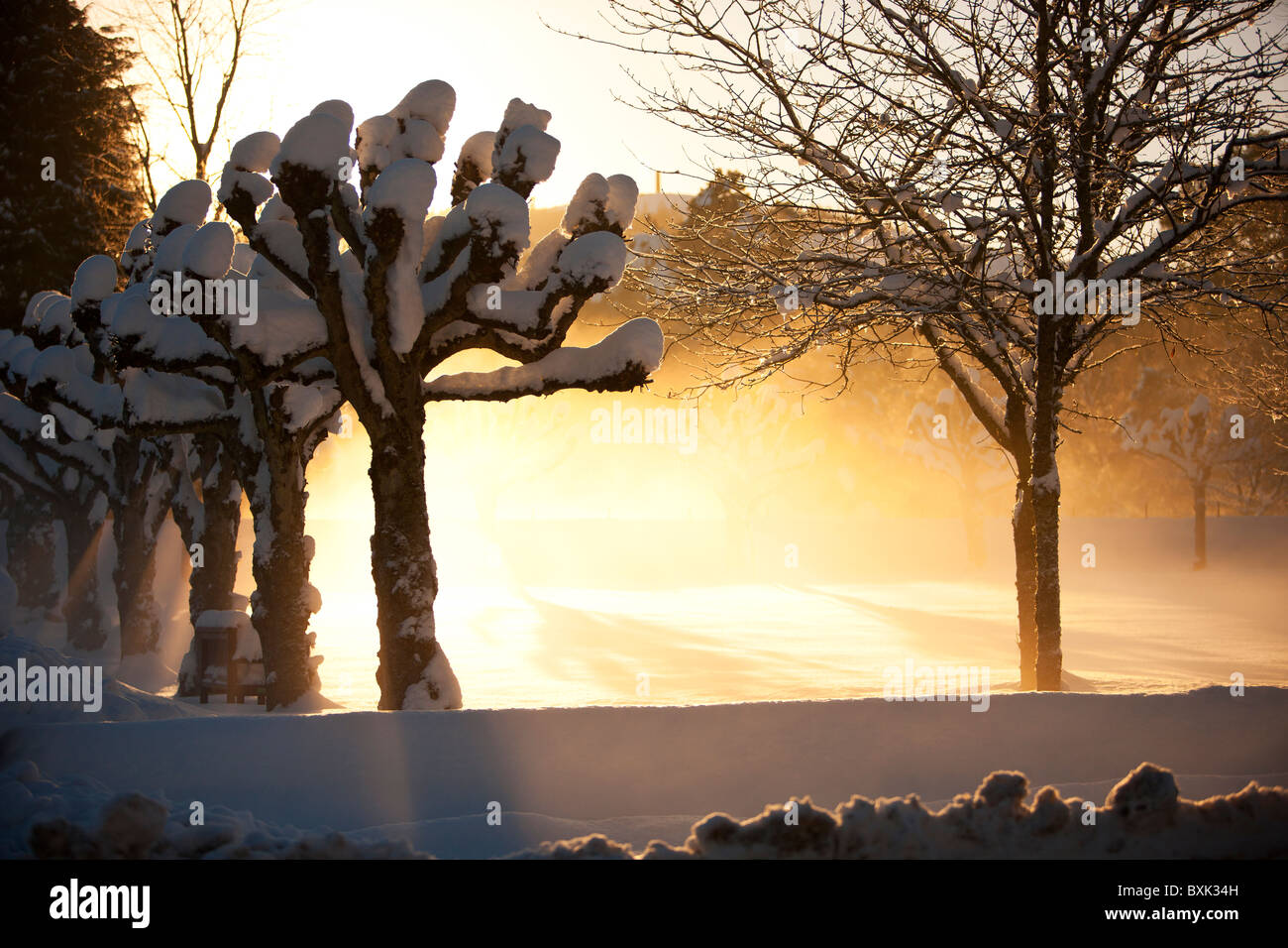 Snow Scene Stock Photo