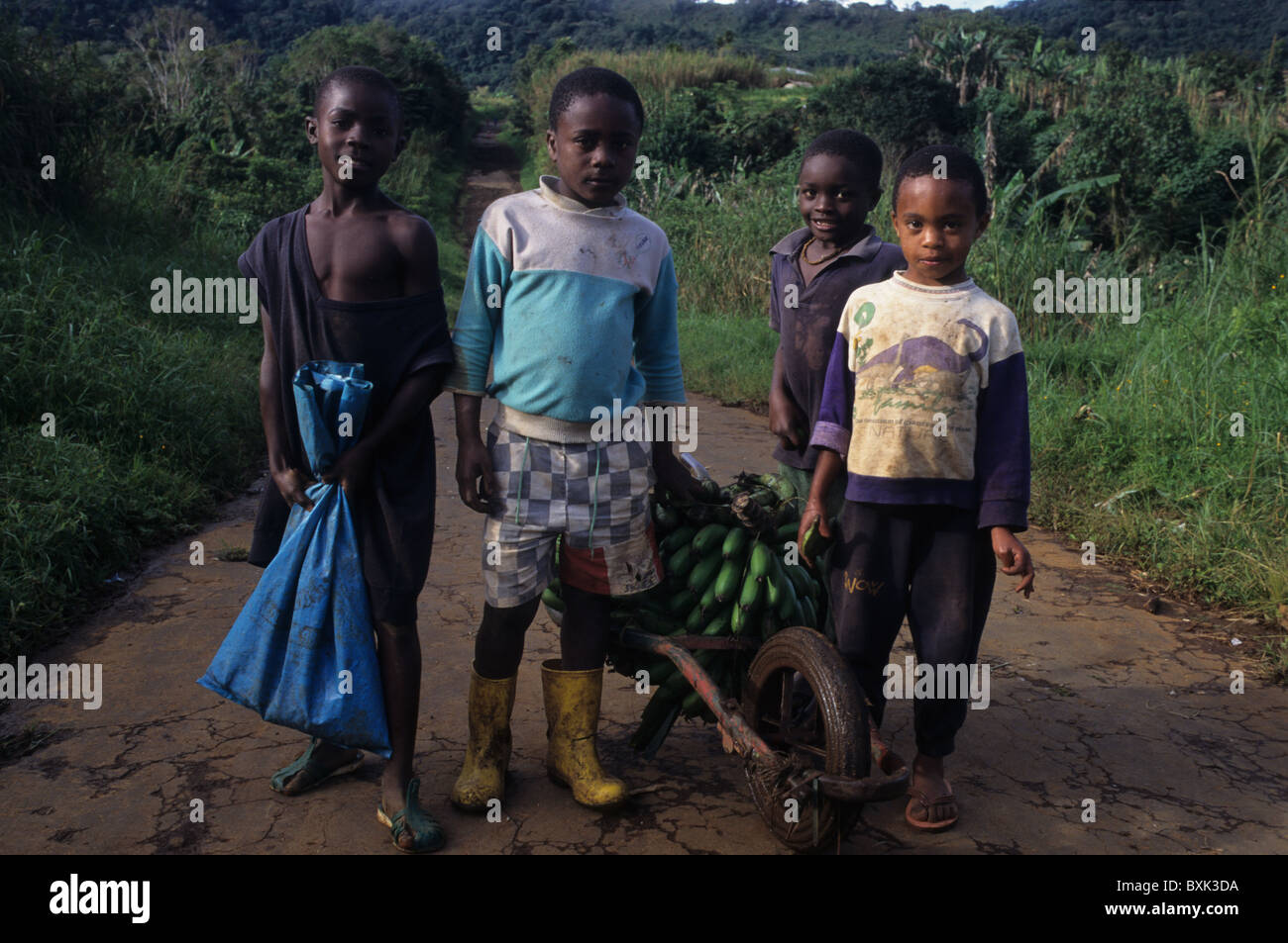 Bubi children carrying bananas. MOCA South Bioko Island  EQUATORIAL GUINEA Stock Photo