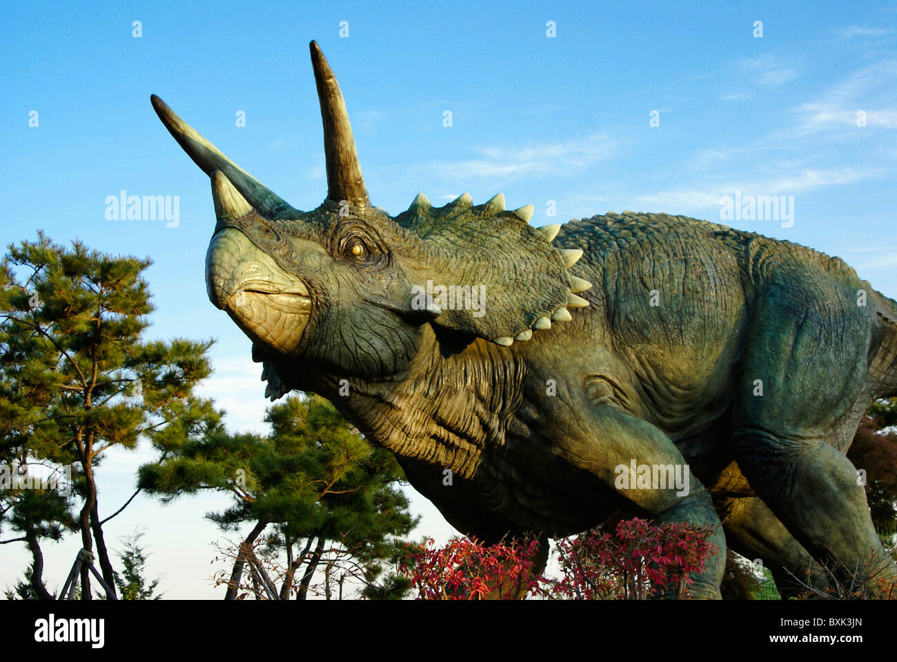 Replica Triceratops at Goseong Dinosaur Museum, South Korea Stock Photo