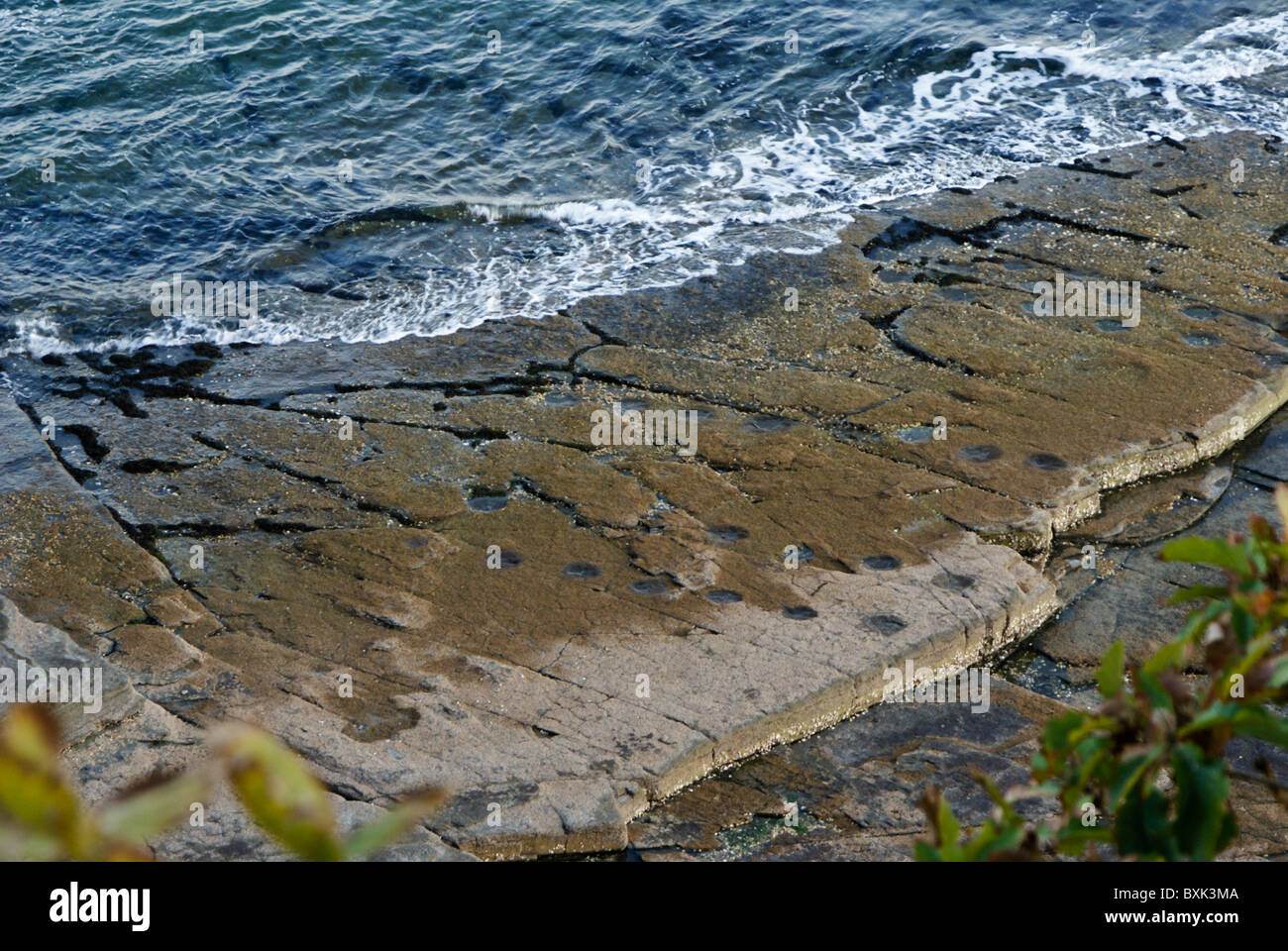 Fossil dinosaur footprints at Goseong Dinosaur Museum, South Korea
