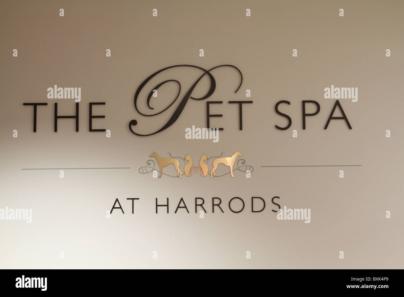 Harrods store gets a pet spa Stock Photo Alamy