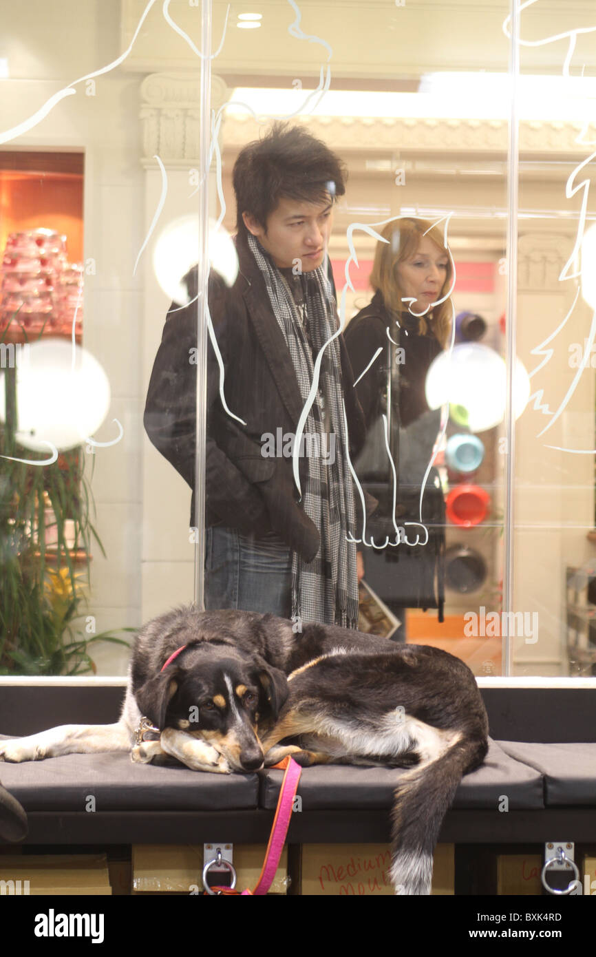 Harrods store gets a pet spa Stock Photo Alamy