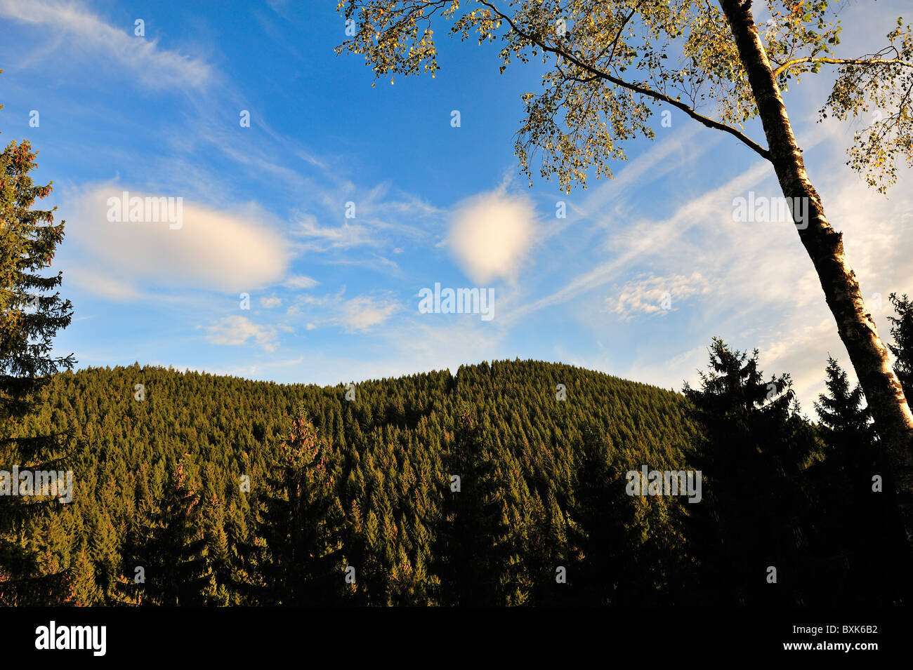 Golden sunbeam shine through the Sösestausee in Harz,Germany. Stock Photo