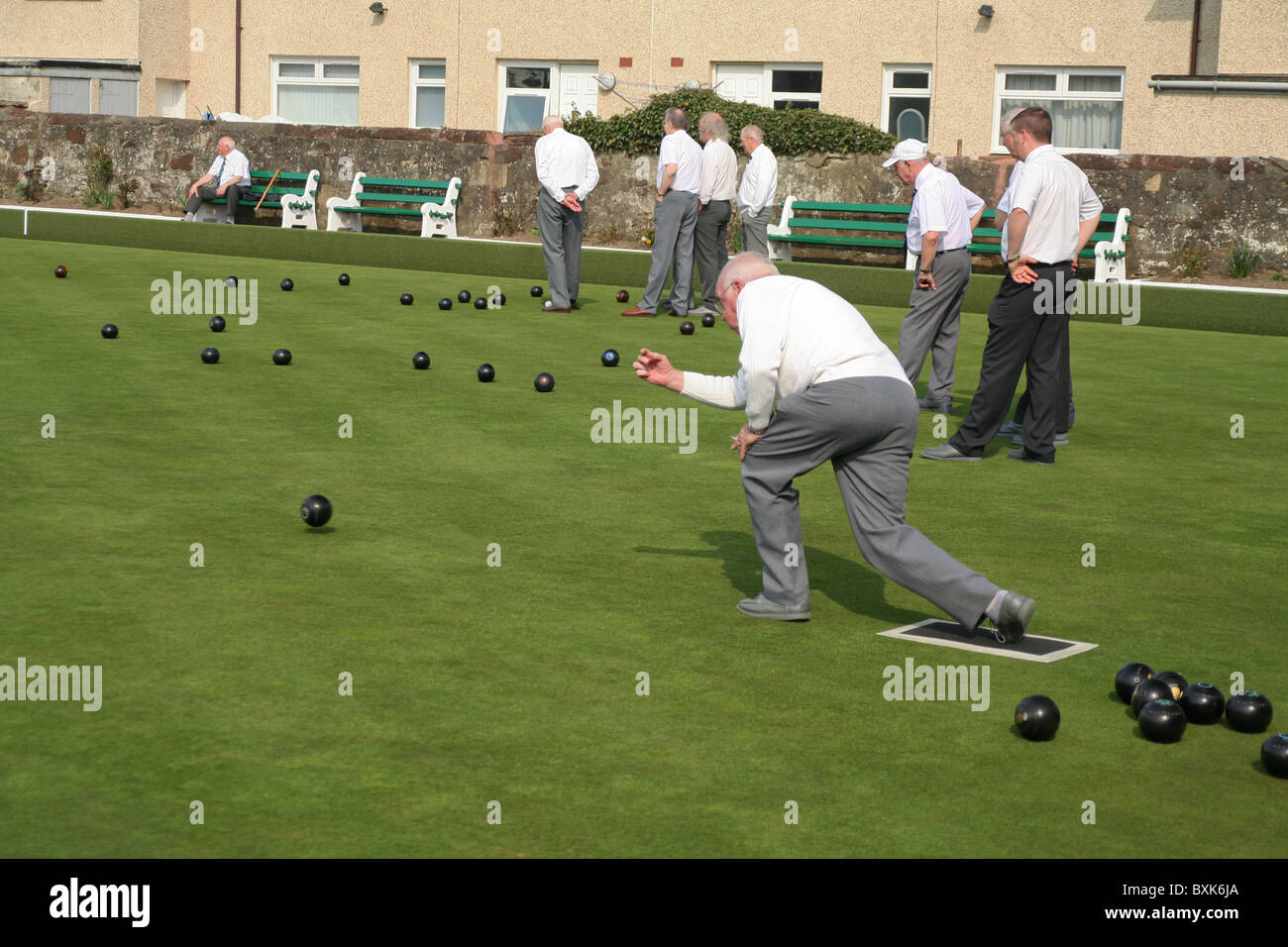 Senior man rolling a bowl during a game of flat lawn bowling. Stock Photo