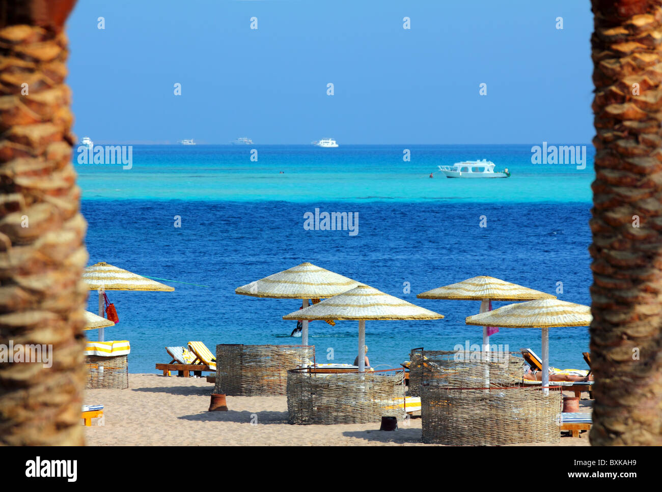 tropical beach in Egypt between palm trees Stock Photo