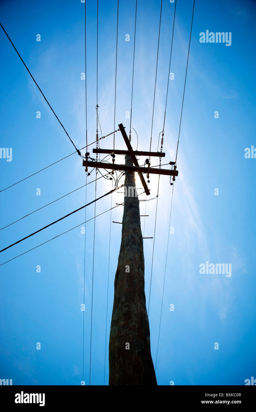 Looking up at a powerline with the bright sun directly behind Stock Photo
