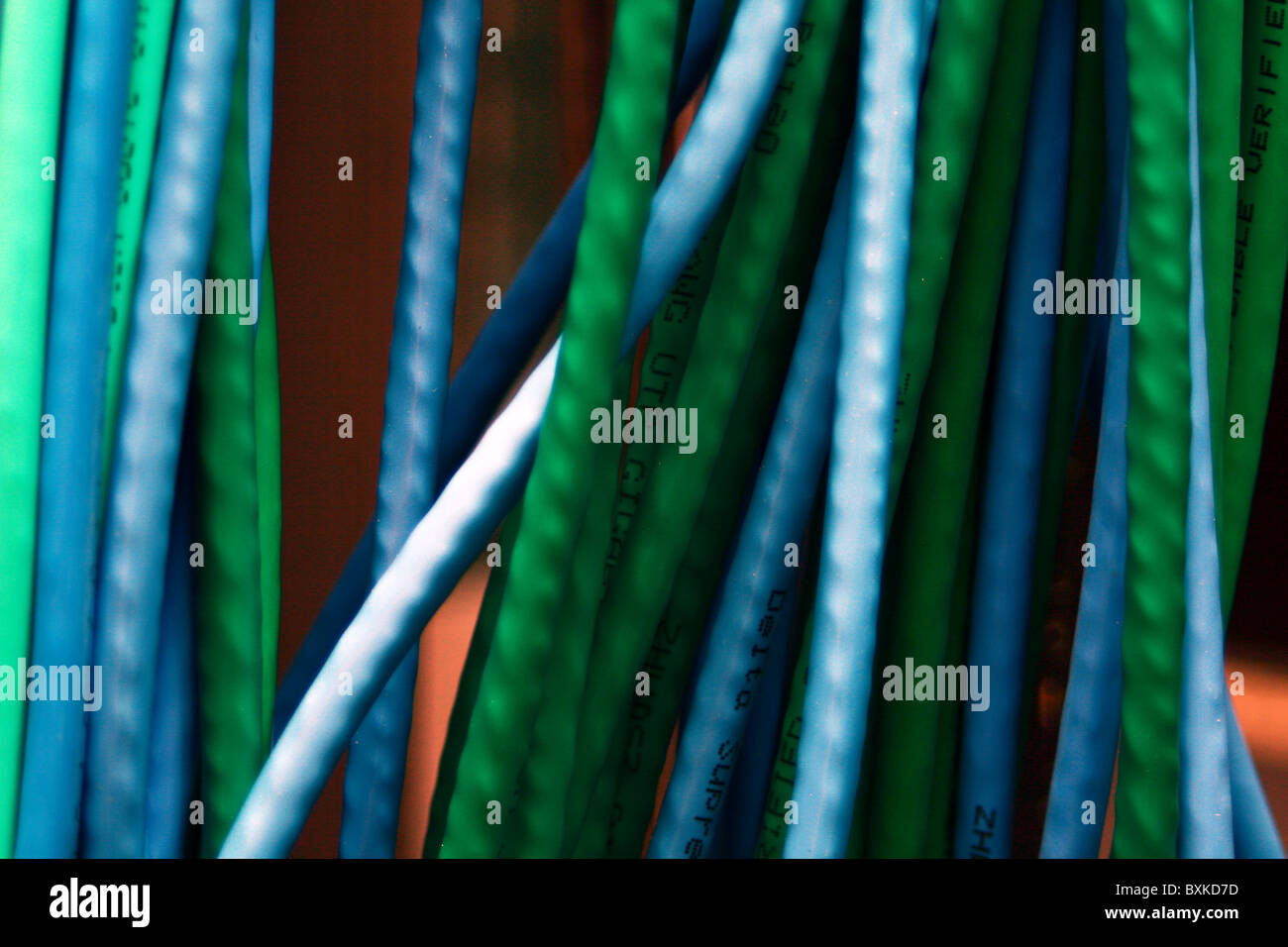 Ethernet cables, cable bundle Stock Photo