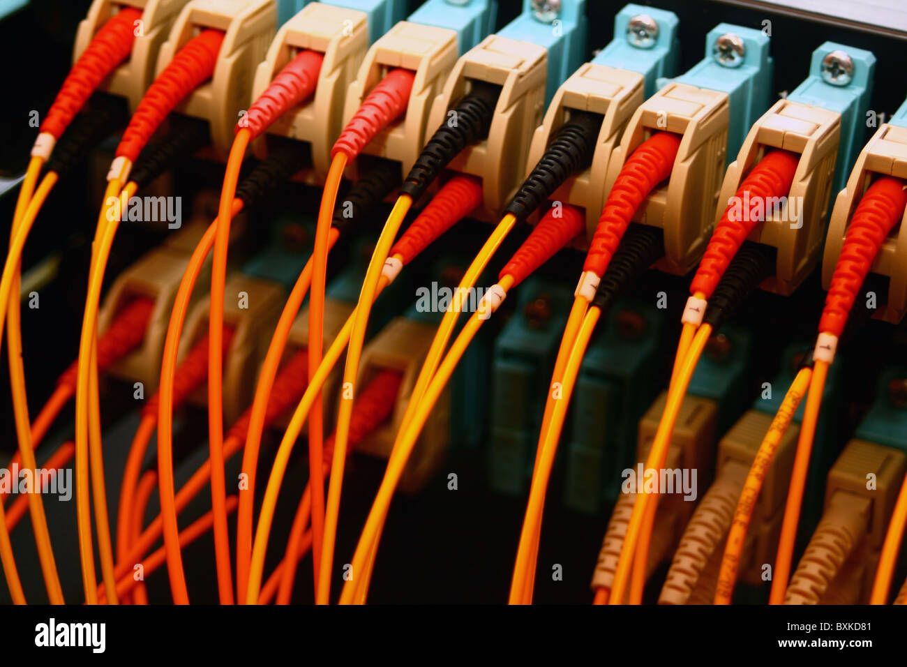 Fibre optic connections on an Internet fibre router Stock Photo - Alamy