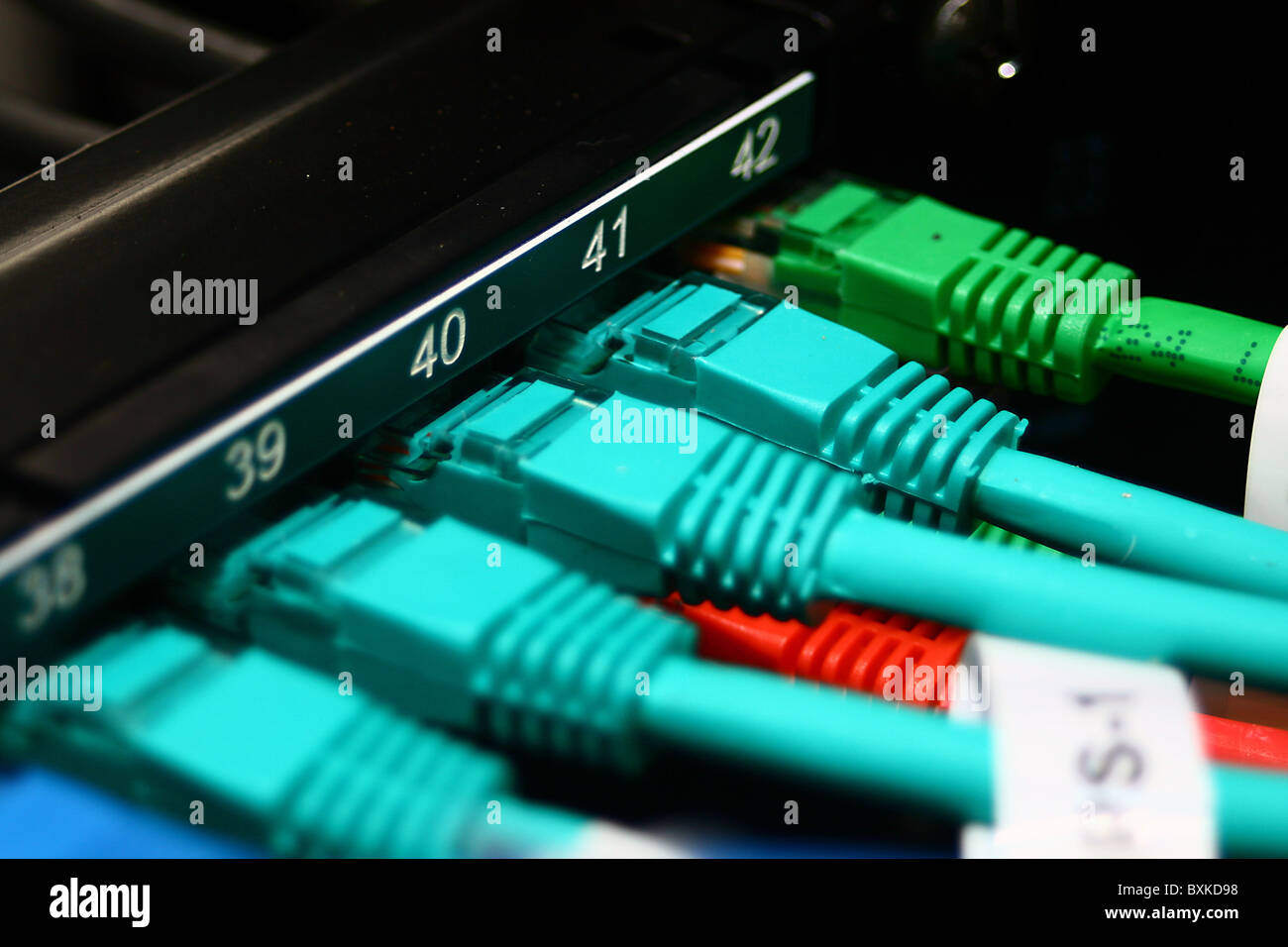cables connected to a switch Stock Photo Alamy