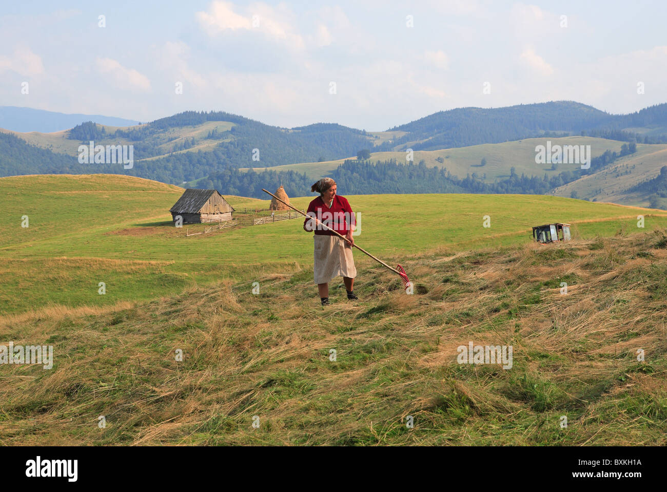 Romania, Transylvania, Paltinis, Near Sibiu, Gypsy Farmer Stock Photo