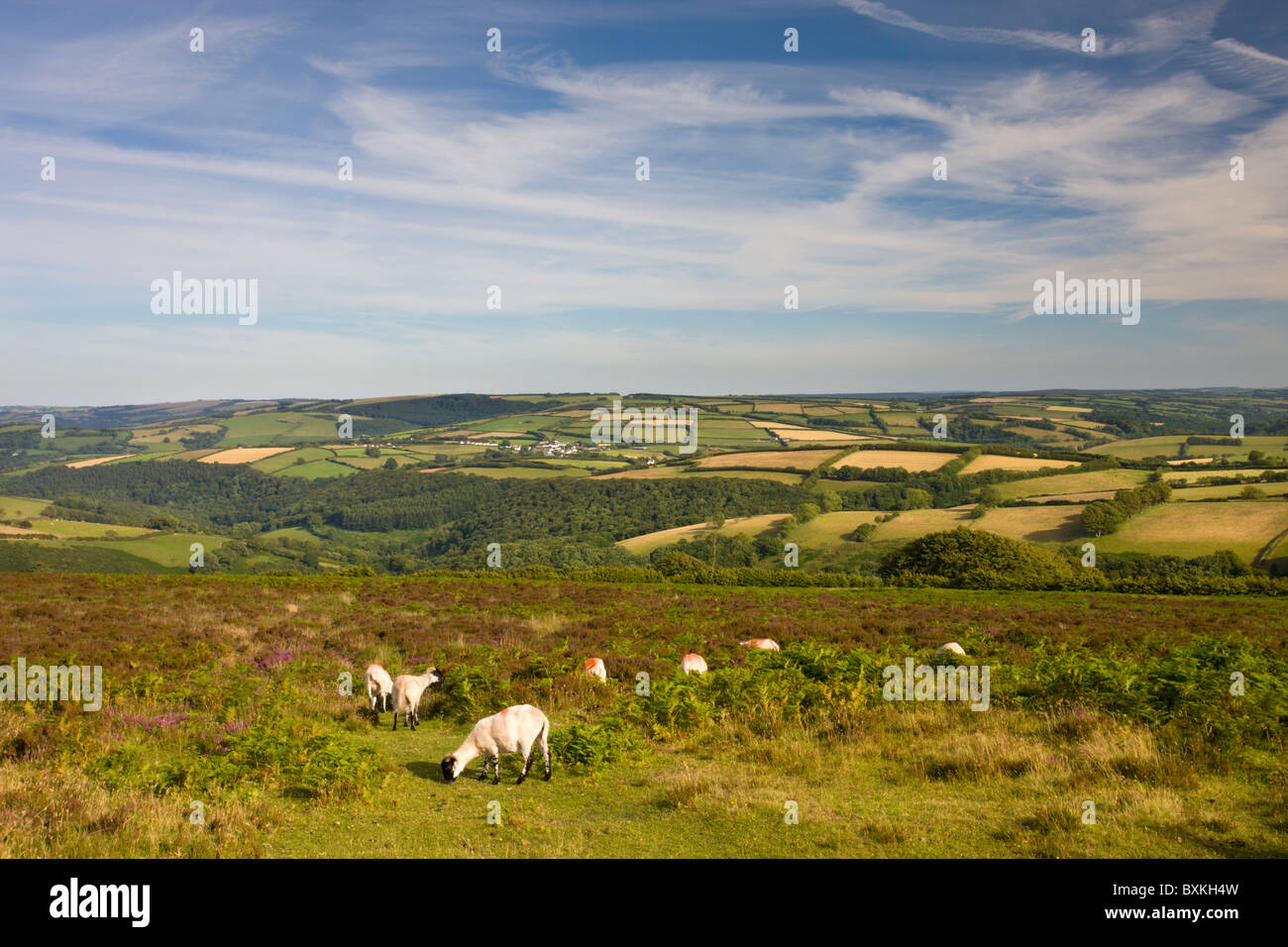 Exmoor National Park Stock Photo Alamy