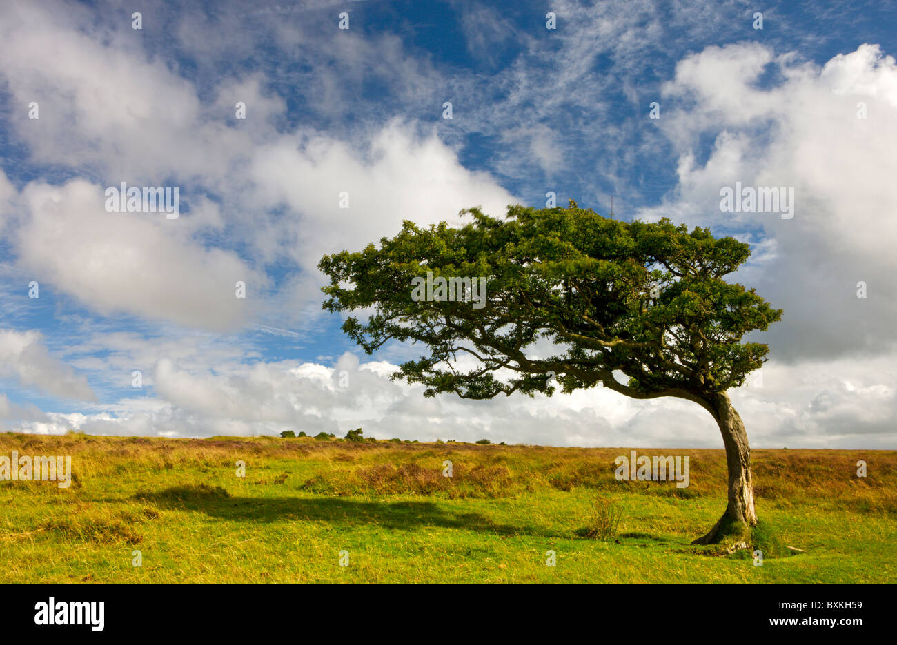 Exmoor National Park Stock Photo