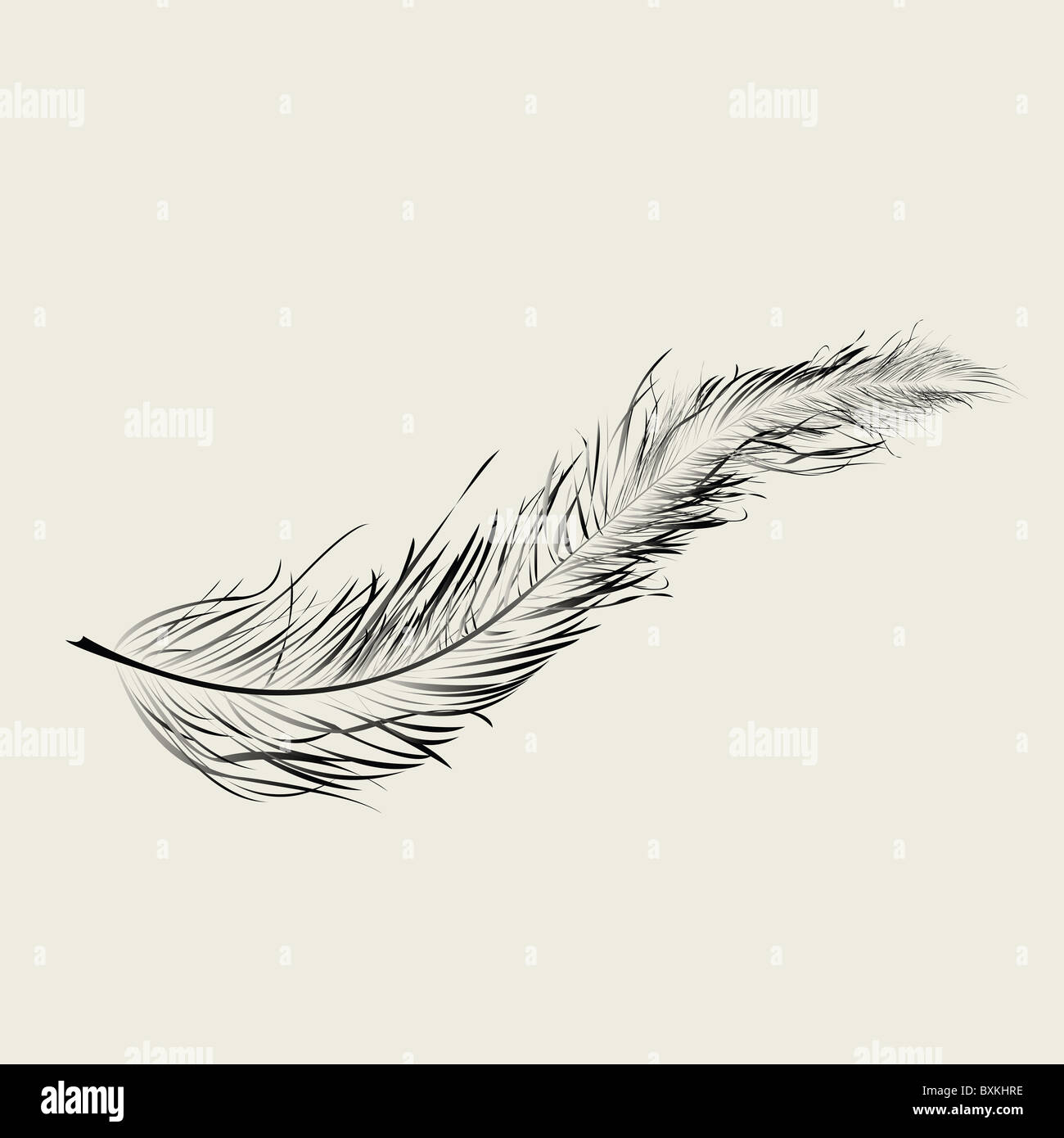 Floating feather Stock Photo Alamy