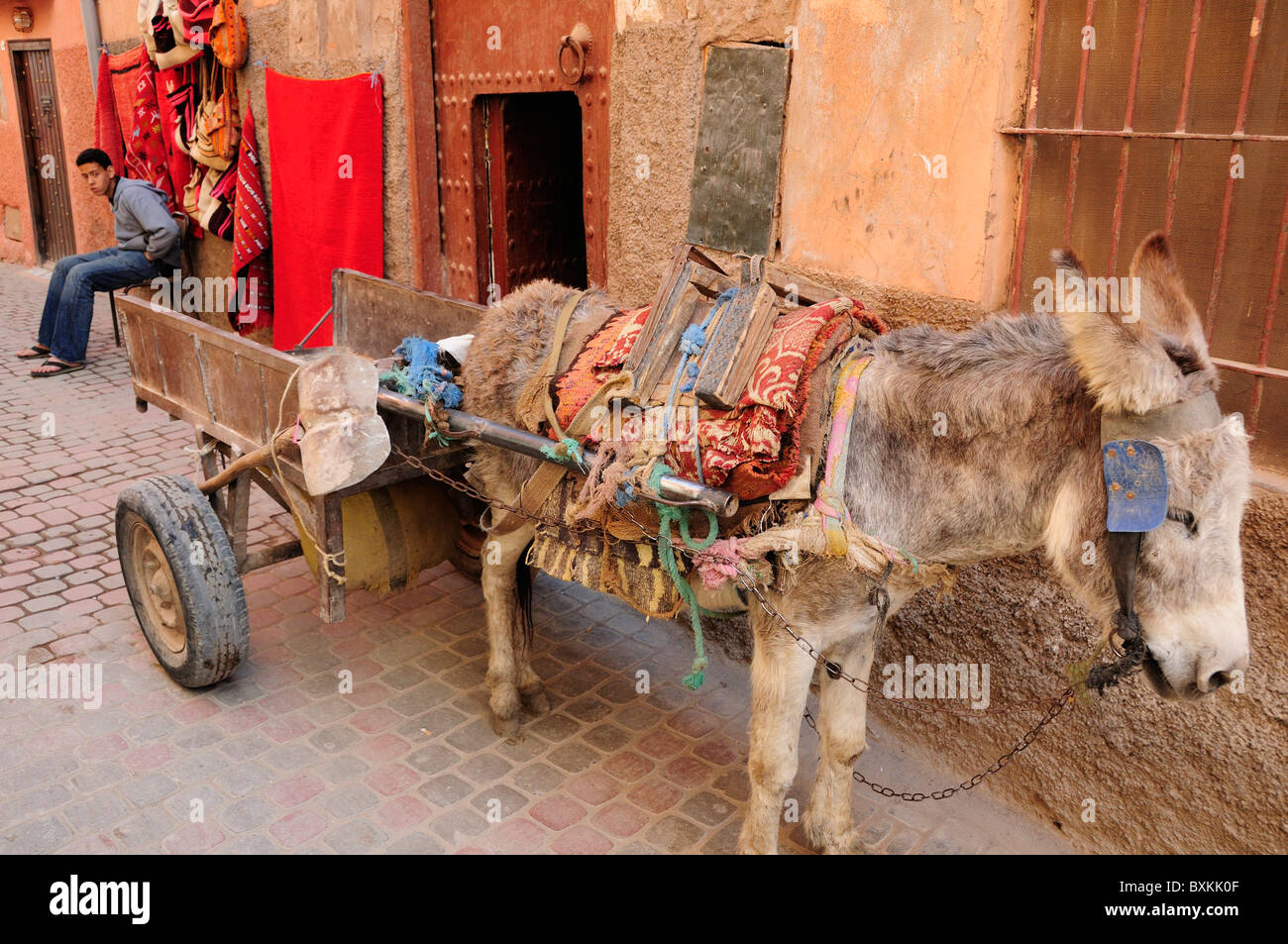 Donkey and cart street scene near Dar Si Said Museum Complex in Marrakech Stock Photo