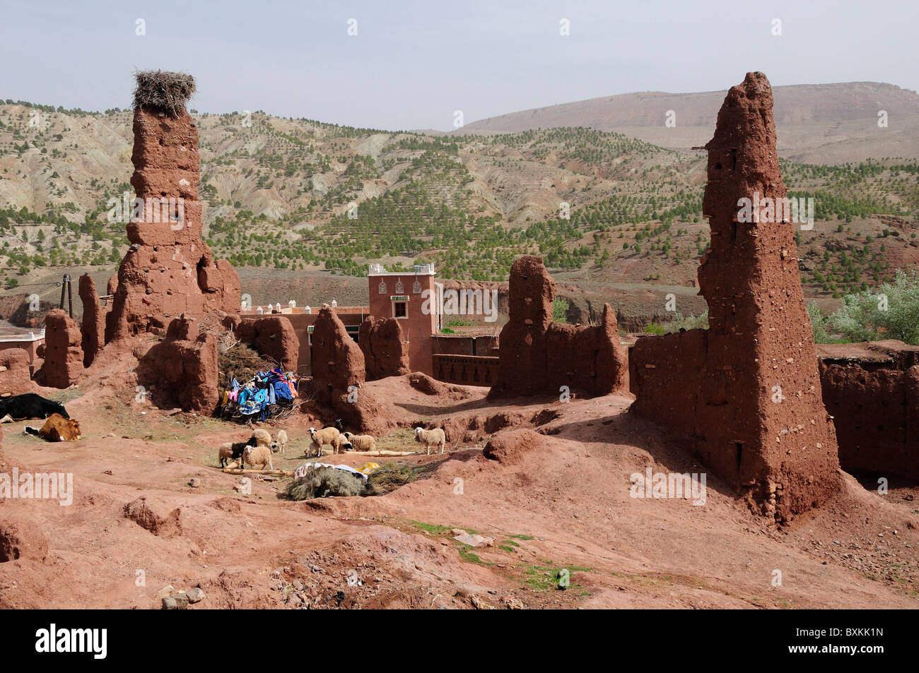 Ruins at Kasbah, Telouet Stock Photo